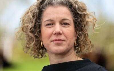 Een post met foto met standaard editor