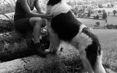 Een post met een afbeelding